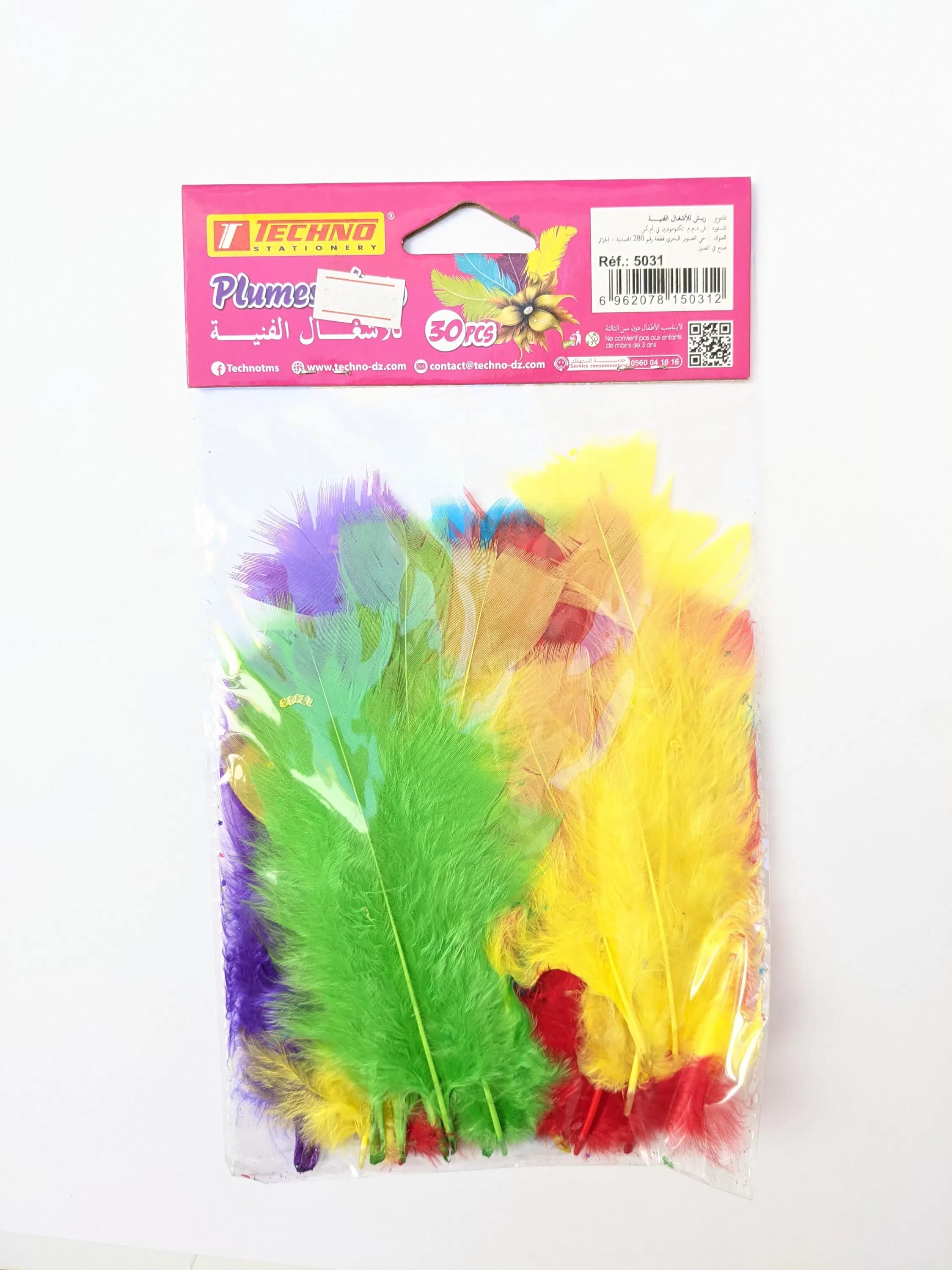 Plumes de Decoration Paquet 30PCS Tchno 5031 2