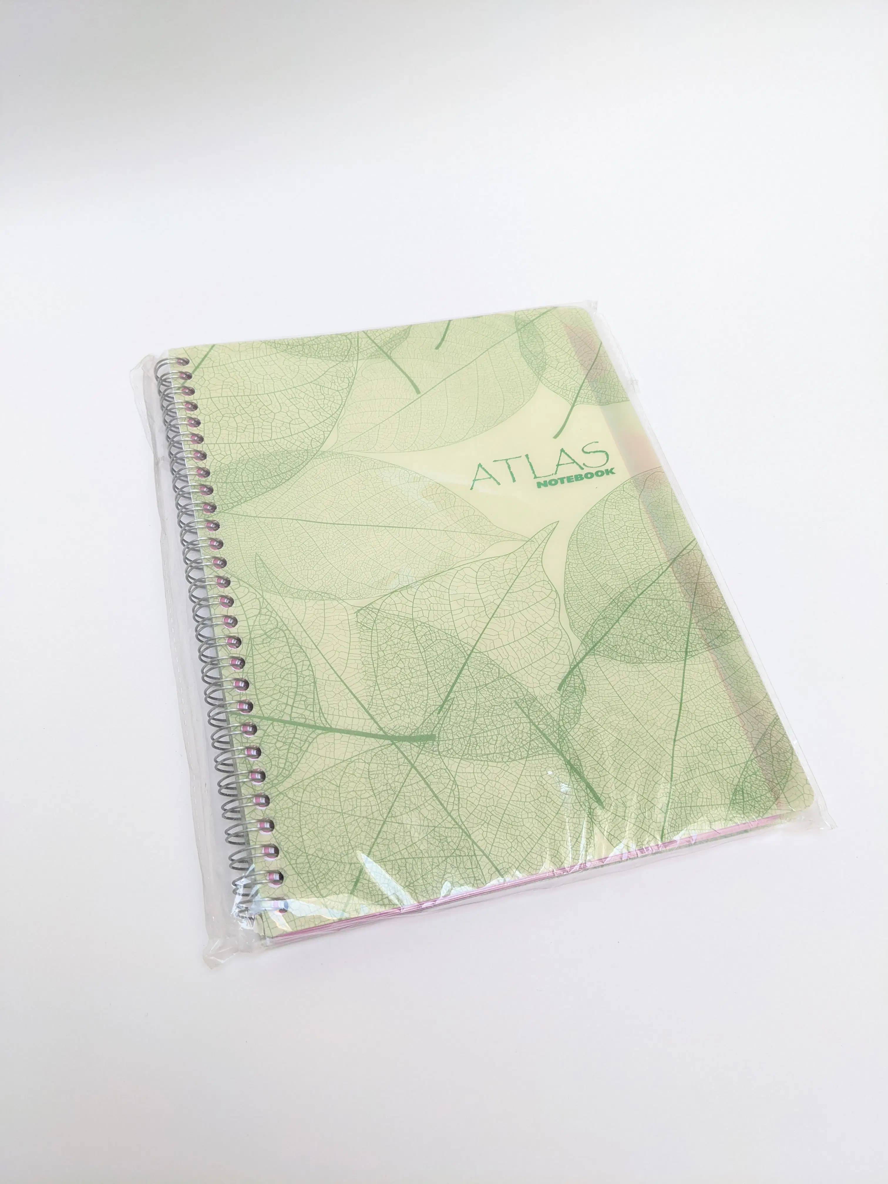 Cahier Partage Atlas 160P Spiral 5 Sujets Couv Pvc 24*20 Ref 7034