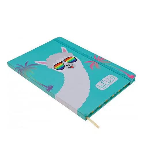 Note Book 6433-12 2