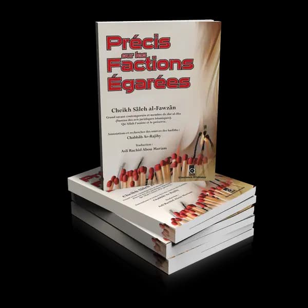 Précis Sur les Factions Égarées