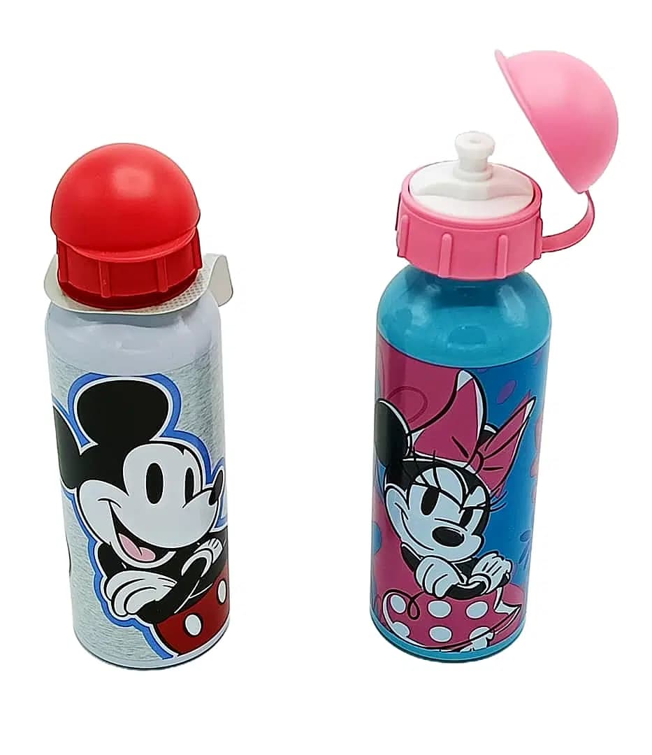 Gourde Aluminium 520 Ml Minie Ref 4232