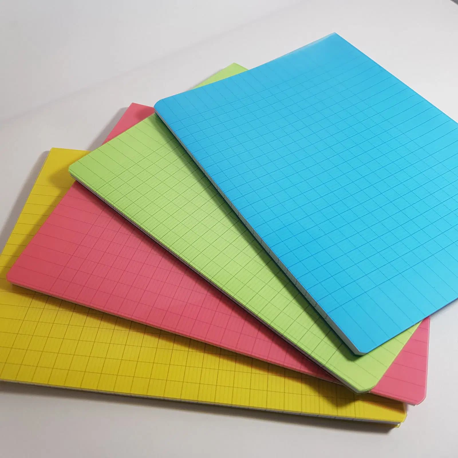Cahier Noram 96 Pvc 6133746002107