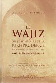 Le Wajiz Ou le Sommaire Jurisprudence