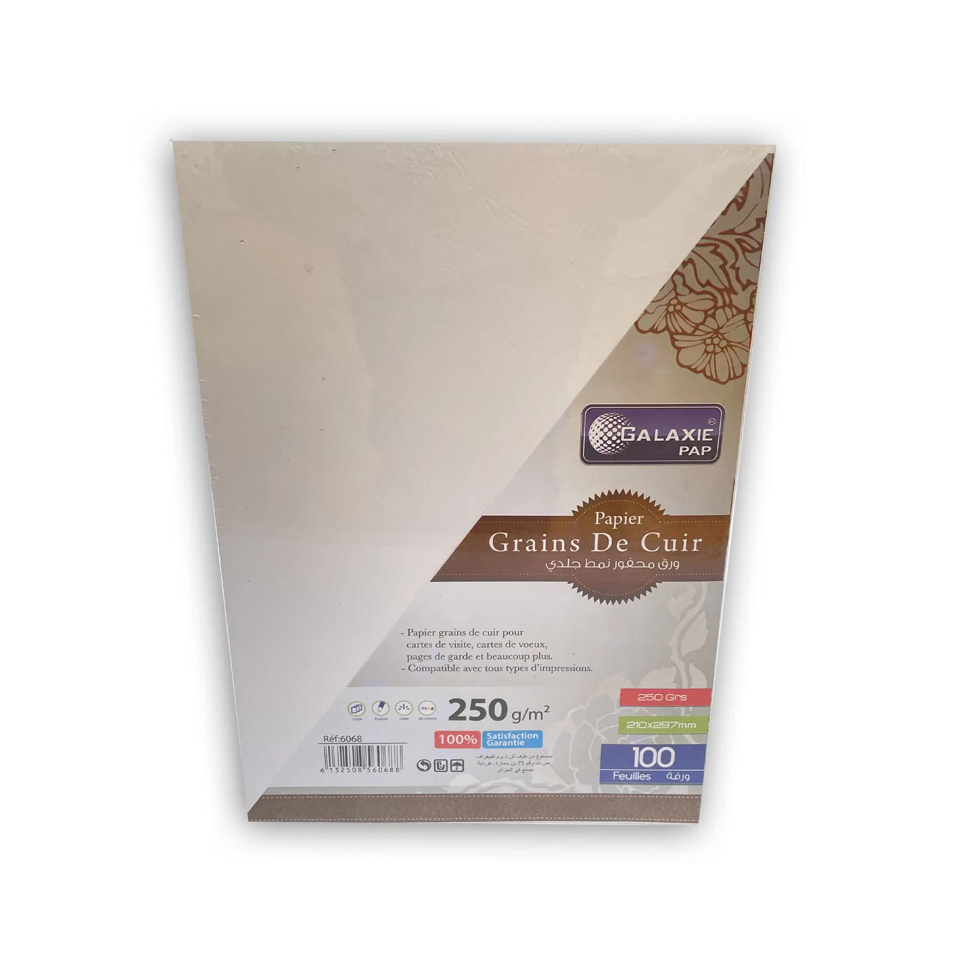 Grains Cuir A4 Blanc 250F 100F Ref 6067 Galaxie